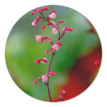 zen stickers