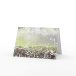 Zen View Card