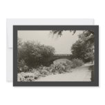 Zen Winter Snowfall II Personalized Announcements