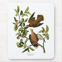 Zenaida Dove Mousepad