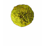 ZESTY (Kaffir Lime) (Front) t-shirts