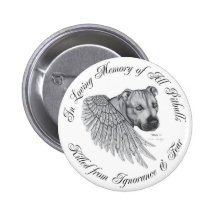 Zeus angel pins