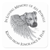 Zeus angel
