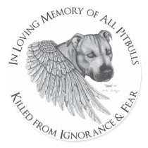 Zeus angel