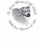 Zeus angel t-shirts