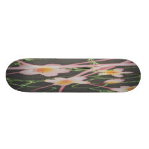 Zhao Hua Hua Skateboard