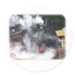 Zig Zag Railway Steam Locomotive 9J53D-17 stickers