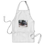 Zig Zag Railway Steam Locomotive 9J53D-19 Apron