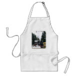 Zig Zag Railway Steam Locomotive 9J53D-21 Aprons