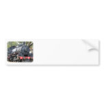 Zig Zag Railway Steam Locomotive 9J54D-01 Bumper Stickers