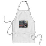 Zig Zag Railway Steam Locomotive 9J54D-08 Apron