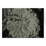 Zinnia Blank Card