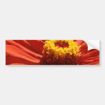 Zinnia Blossom Bumper Sticker