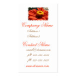 Zinnia Blossom Business Card