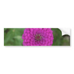 Zinnia bumper stickers