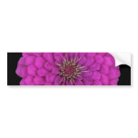Zinnia bumper stickers
