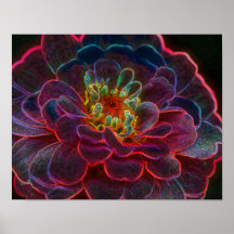 Zinnia Fantasy Flower Art Poster