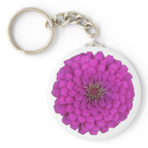 Zinnia