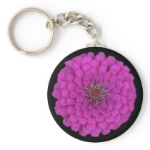 Zinnia