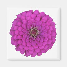 Zinnia Magnet