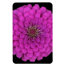 Zinnia Rectangle Magnets