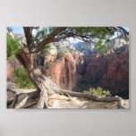 Zion - Angels Landing Posters