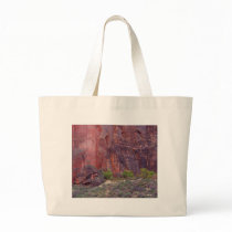 Zion Canyons Big Bend Cliffs Red Canvas Bags