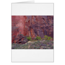 Zion Canyons Big Bend Cliffs Red Cards