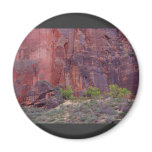 Zion Canyons Big Bend Cliffs Red magnets