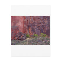 Zion Canyons Big Bend Cliffs Red Post Card