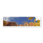 Zion National Park Tree With Yellow Leafs And Hill bumper stickers
