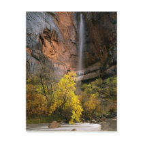 Zion National Park, Utah. USA. Ephemeral Postcard