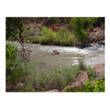 zion riverwalk post card