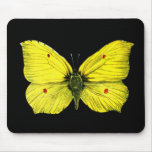 Zitronenfalter mousepads