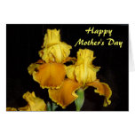 ZJ- Yellow Iris Mother's Day Card