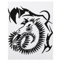 Zodiac Capricorn Flyer Design