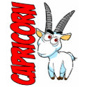 zodiac CAPRICORN t-shirt
