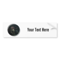 Zodiac Create Your Own