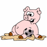 zodiac-pig-pic, football photo sculptures