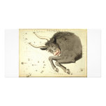 Zodiac Sign: Taurus collector photo cards photo cards