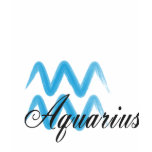 ZODIAC T AQUARIUS t-shirts