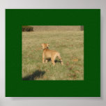 Zoe at the park posters