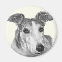 Zoie, Greyhound Fridge Magnet