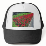 Zonal Geranium (Pelargonium Hortorum) flowe Hats