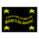 Zoo America cards