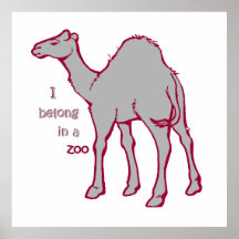 Zoo Camel Print