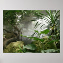 Zoo Rainforest Exhibit Poster posters