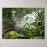 Zoo Rainforest Exhibit Poster posters