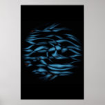 Zool posters