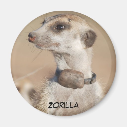 Zorilla Magnet